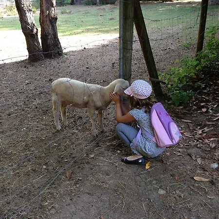 Les Camelias Lalinde