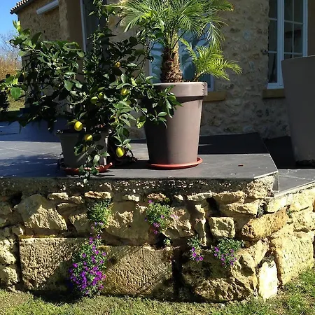 לינה וארוחת בוקר Les Camelias