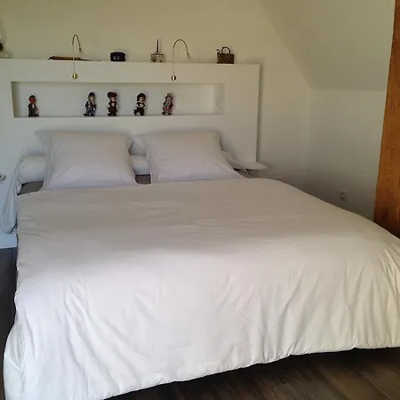 Les Camelias Lalinde