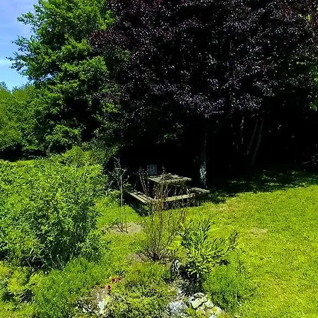 Les Camelias Lalinde