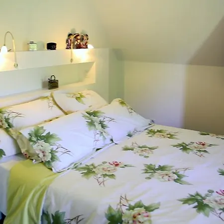 Les Camelias לינה וארוחת בוקר Lalinde