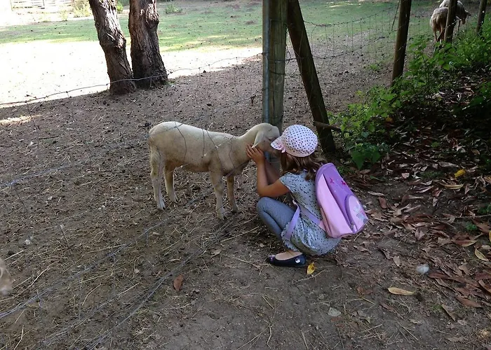 Les Camelias Lalinde