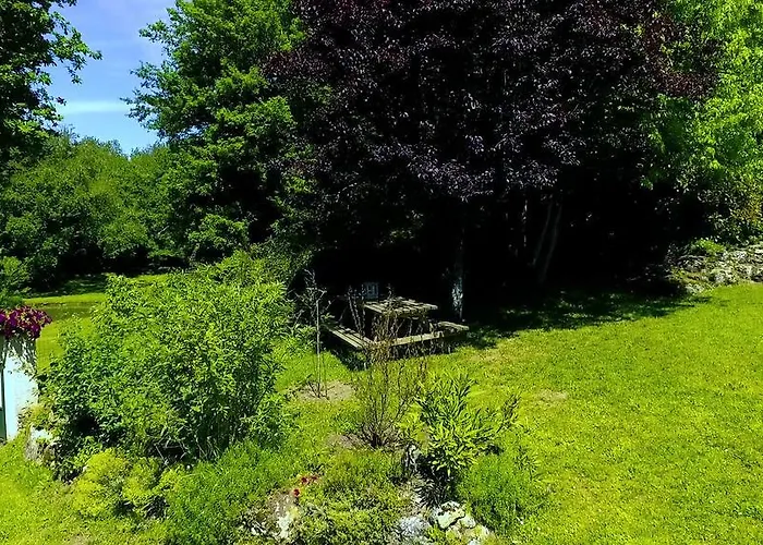 Les Camelias Lalinde